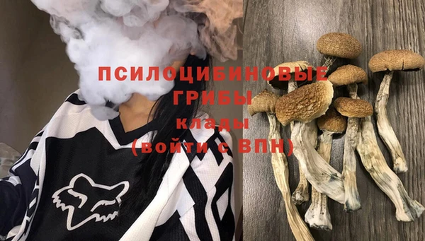 крисы Алзамай