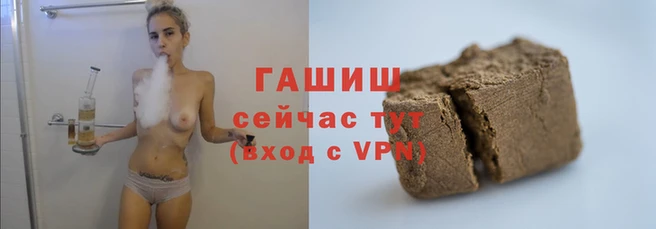 крисы Алзамай