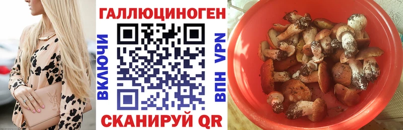 Псилоцибиновые грибы Psilocybine cubensis  где можно купить   Азов 